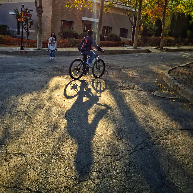 wheel-bike-cyclist-land-vehicle-road picture material