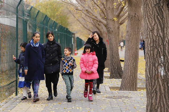 people-winter-street-child-road 图片素材