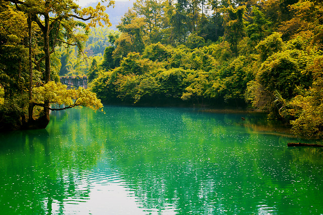 natural-landscape-nature-body-of-water-reflection-green 图片素材