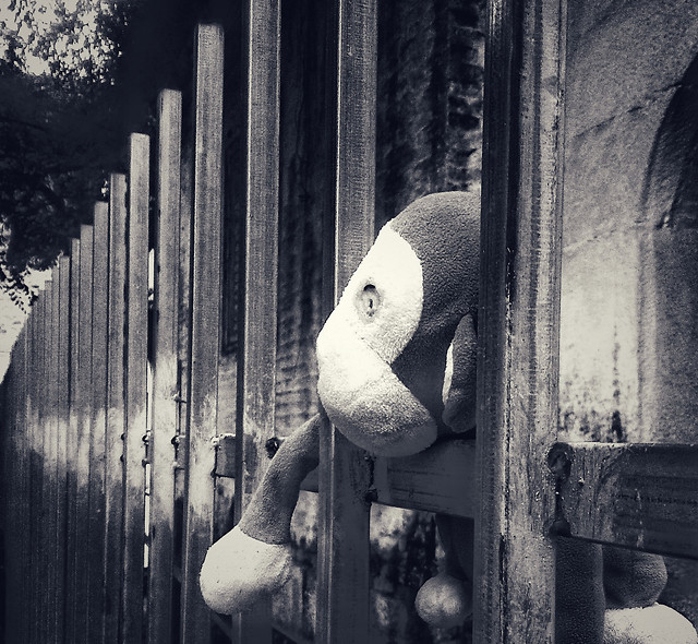 street-fence-people-monochrome-wood picture material