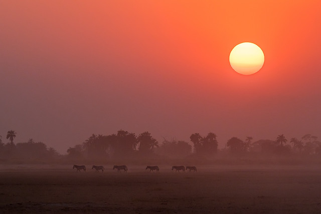 sunset-dawn-landscape-evening-sun 图片素材