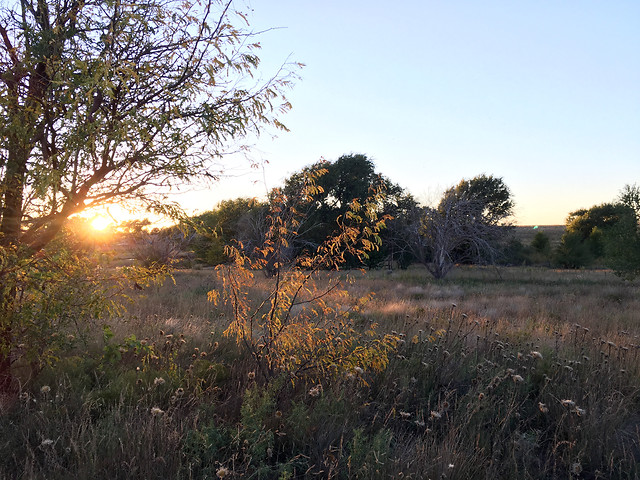 landscape-no-person-tree-nature-outdoors picture material