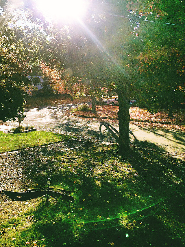 no-person-nature-landscape-water-tree 图片素材