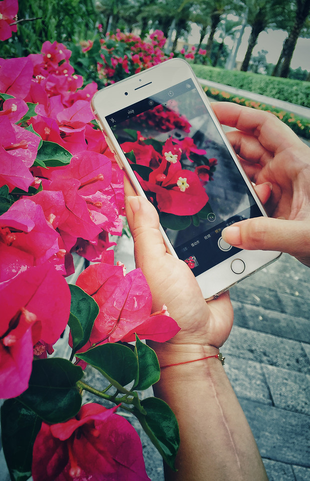 flower-woman-people-pink-red 图片素材