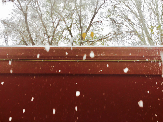winter-snow-red-football-competition 图片素材