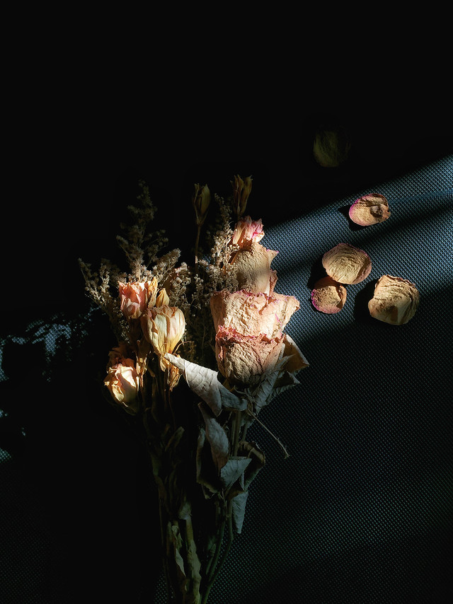 flower-art-people-light-performance 图片素材