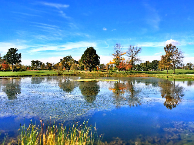 no-person-water-lake-reflection-nature picture material