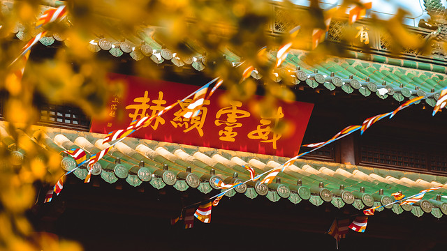 festival-traditional-no-person-celebration-abstract picture material