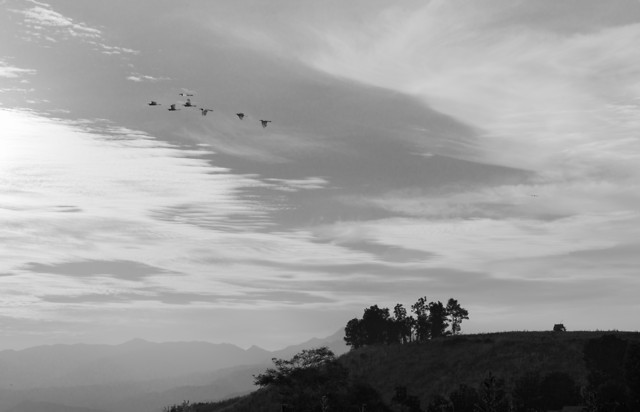 no-person-sky-landscape-fog-cloud picture material