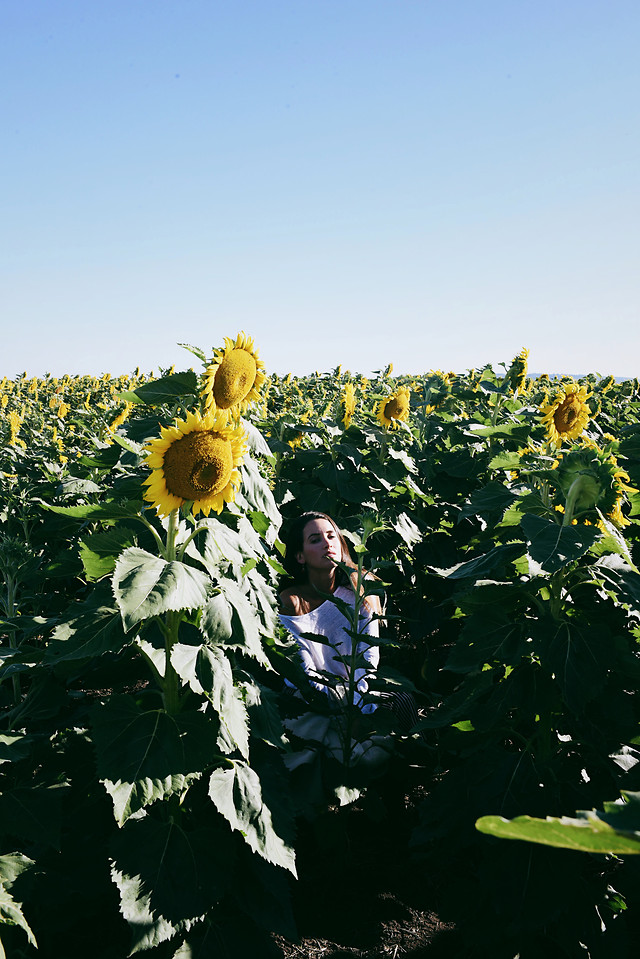 agriculture-flower-growth-nature-summer picture material