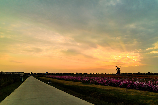 sky-cloud-horizon-dawn-afterglow picture material