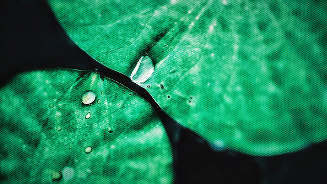 green-abstract-technology-desktop-water 图片素材