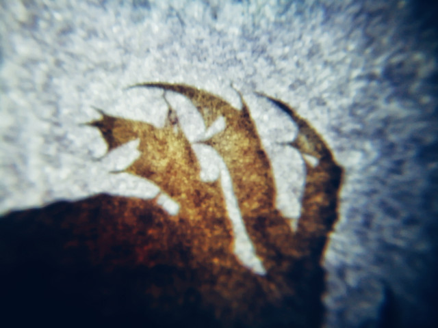 no-person-underwater-water-nature-sea picture material