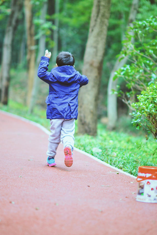 child-outdoors-leisure-wood-green 图片素材