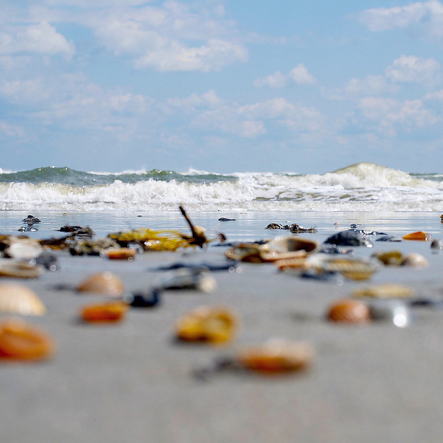 no-person-water-beach-nature-sand 图片素材