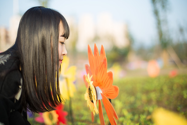 nature-flower-summer-outdoors-yellow 图片素材