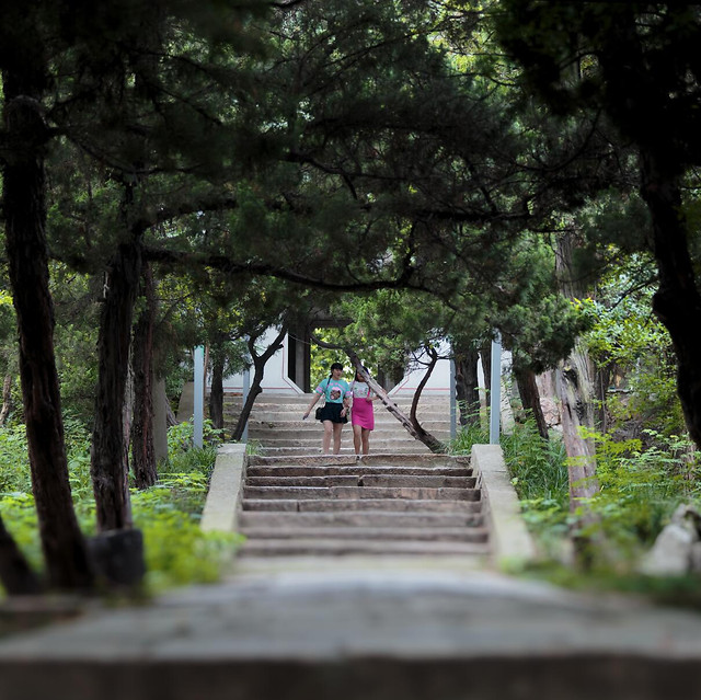 tree-walk-guidance-nature-park 图片素材