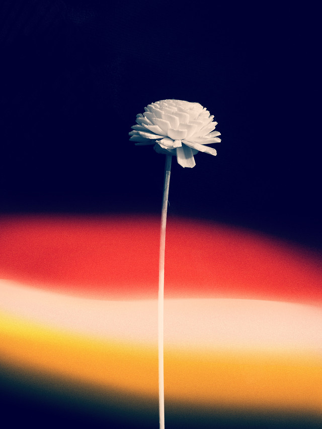 no-person-blur-nature-abstract-desktop picture material