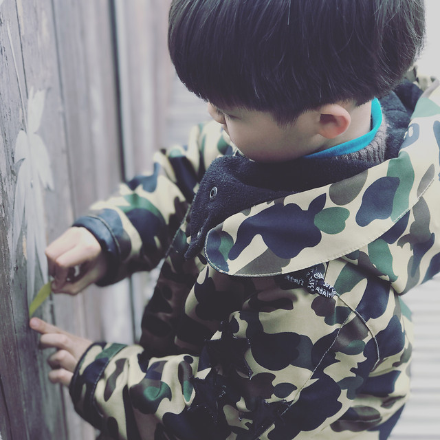 child-people-boy-one-portrait 图片素材