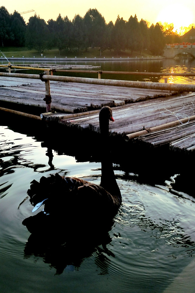 water-no-person-reflection-river-lake picture material