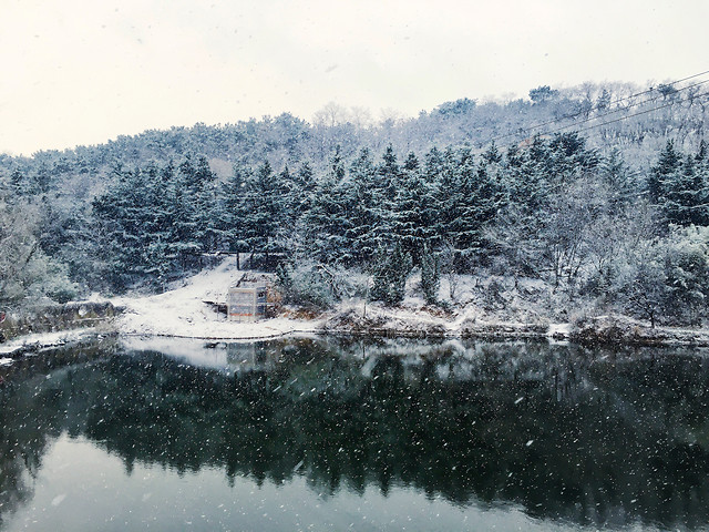 landscape-tree-snow-winter-water picture material