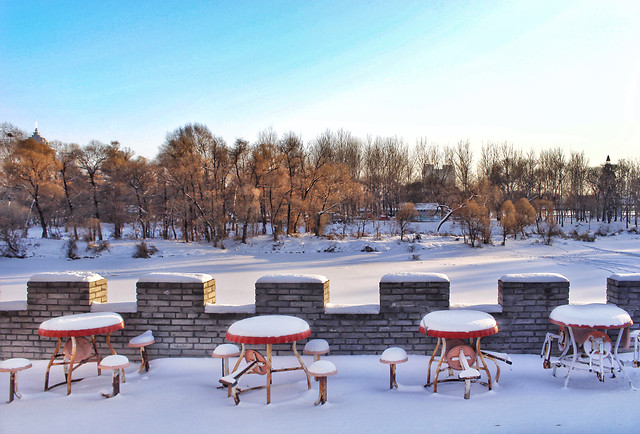 snow-winter-cold-no-person-frost 图片素材