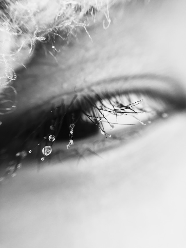 monochrome-h2o-nature-drop-abstract picture material