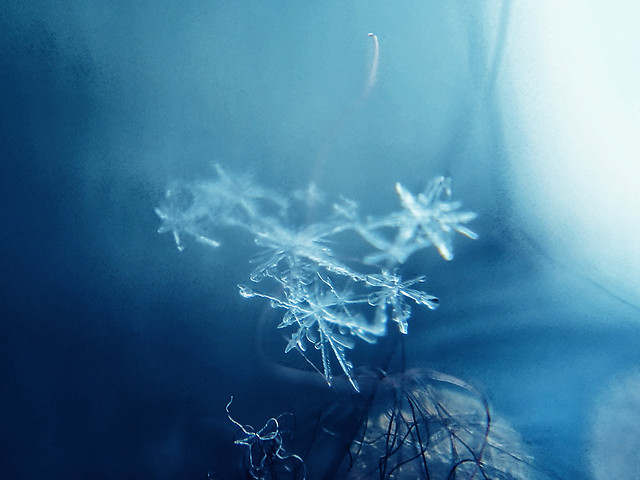 underwater-blue-desktop-no-person-nature picture material