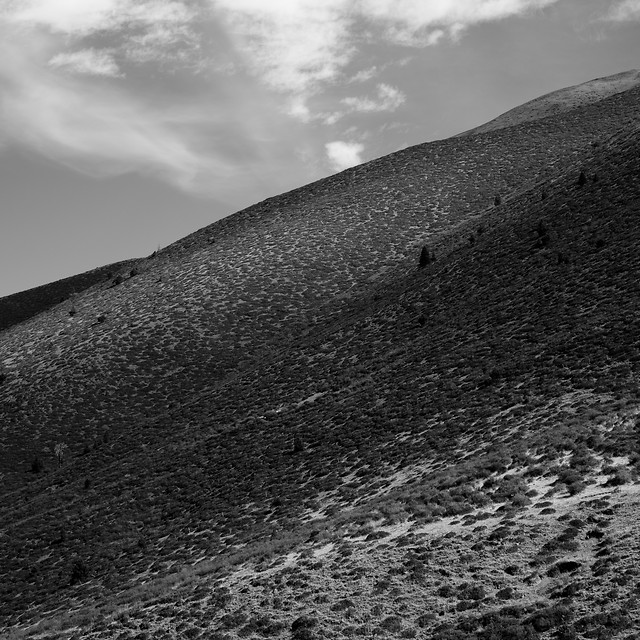 monochrome-landscape-desert-no-person-sunset 图片素材