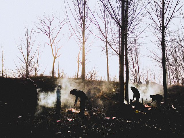 water-reflection-tree-morning-winter 图片素材