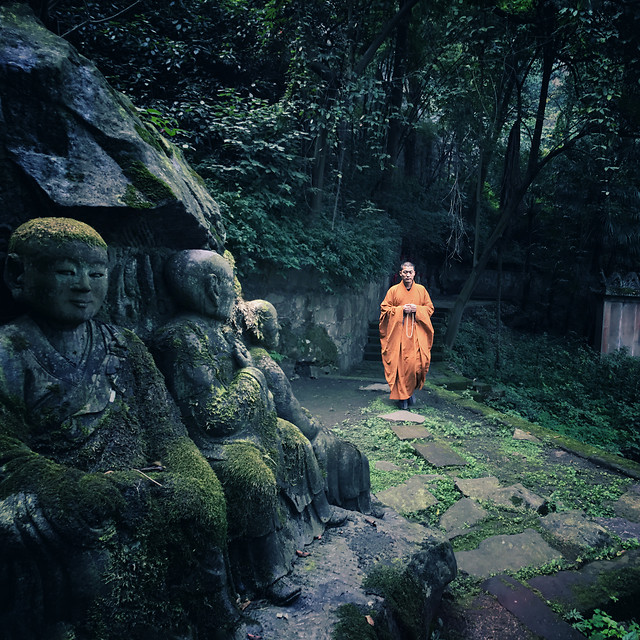 people-adult-two-tree-group 图片素材