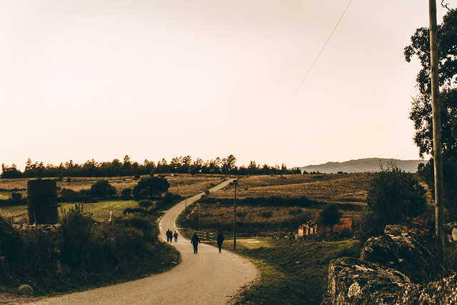 landscape-no-person-tree-travel-road 图片素材