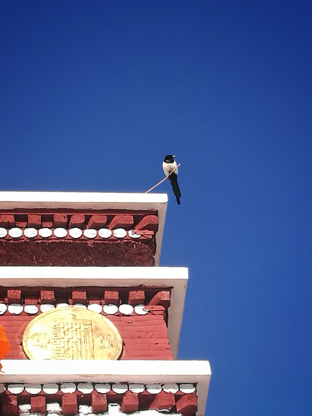 no-person-sky-red-blue-outdoors 图片素材