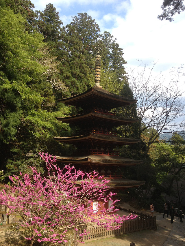 tree-garden-park-wood-zen 图片素材