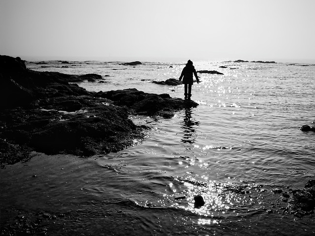 beach-water-monochrome-sea-fisherman picture material