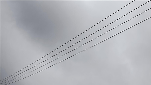 sky-wire-high-no-person-light picture material