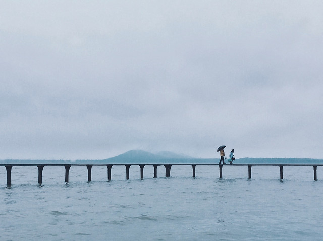water-beach-sea-bridge-pier picture material