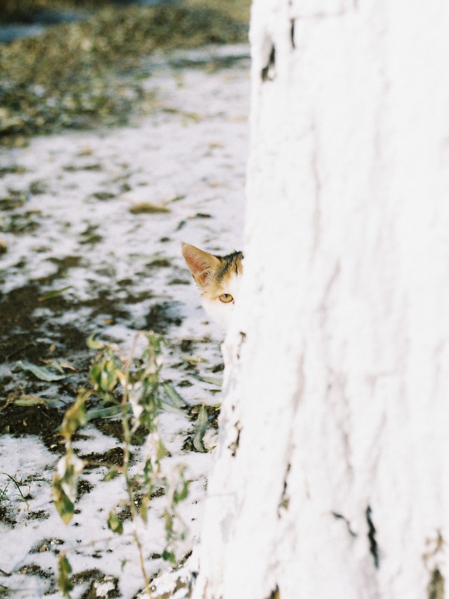 no-person-snow-winter-outdoors-nature 图片素材