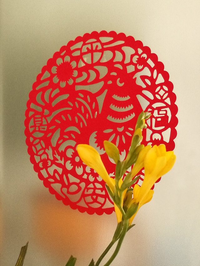 nature-no-person-flower-red-leaf 图片素材