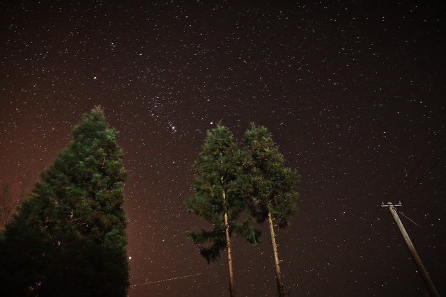 moon-no-person-tree-astronomy-light 图片素材