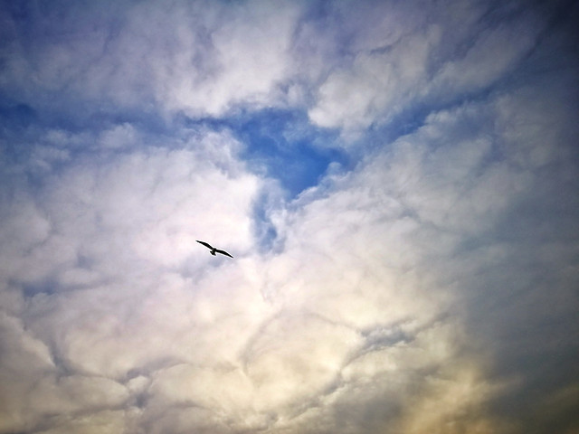 sky-airplane-no-person-sunset-flight 图片素材