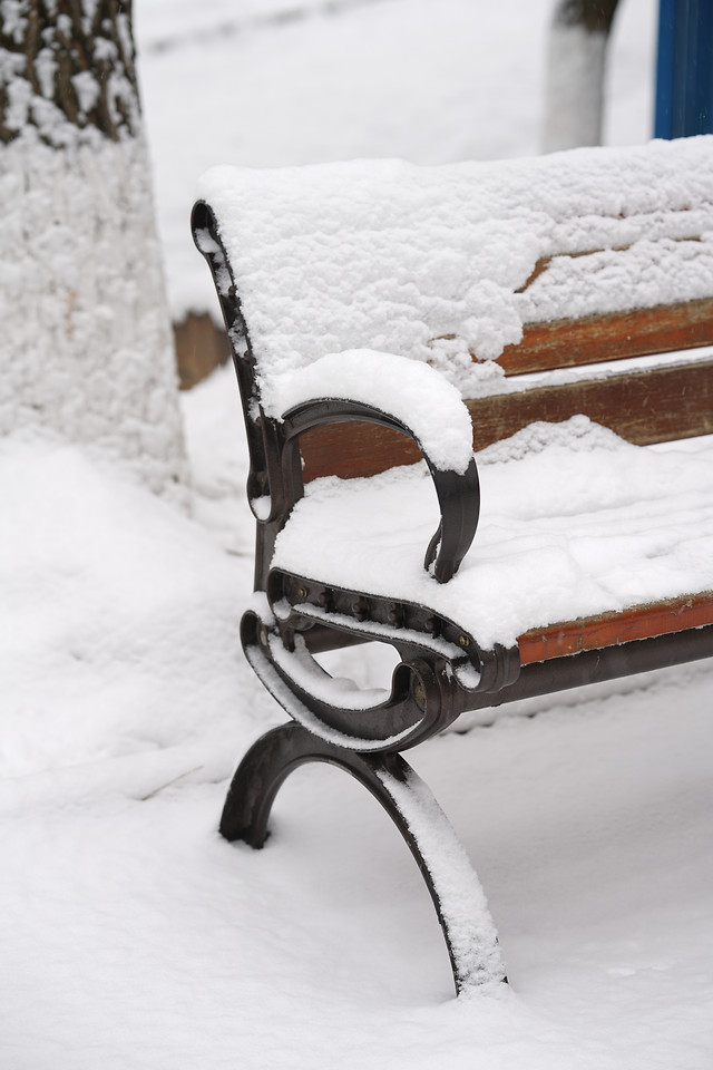 snow-winter-cold-frost-ice 图片素材