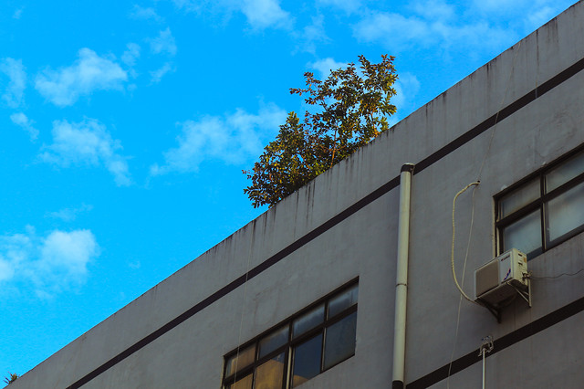 sky-building-no-person-architecture-blue 图片素材