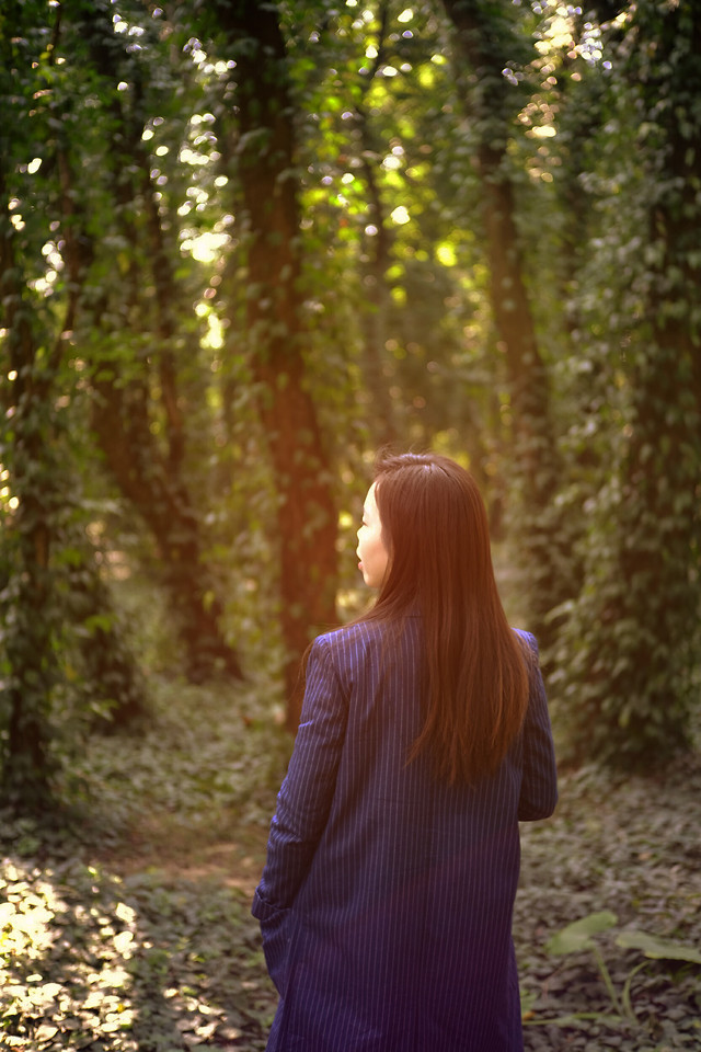 nature-wood-park-summer-outdoors picture material