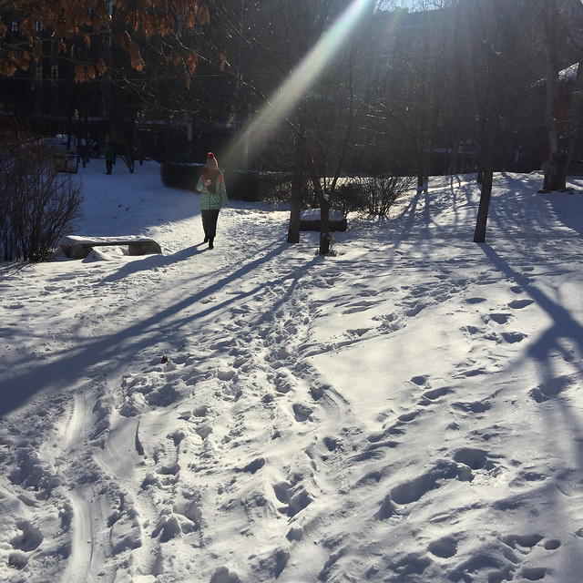 snow-winter-cold-ice-weather 图片素材