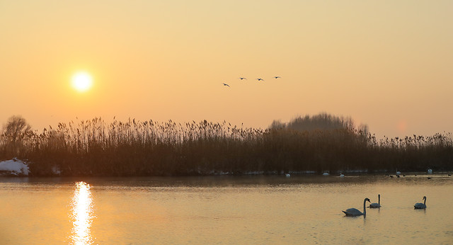 dawn-lake-sunset-reflection-landscape picture material