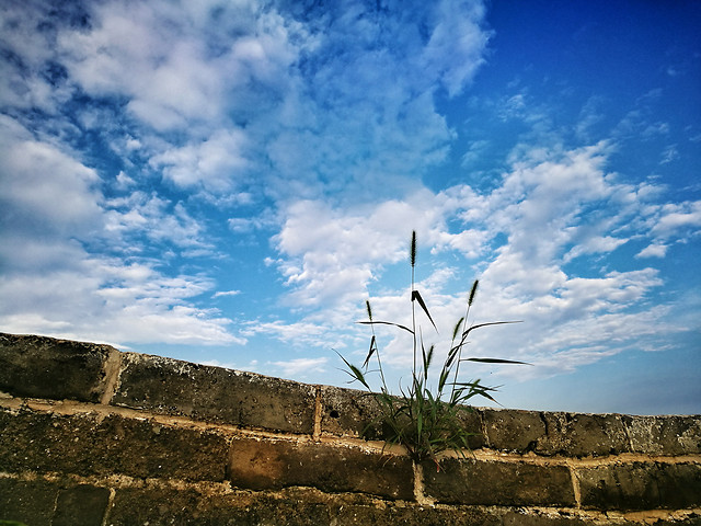 sky-no-person-travel-cloud-outdoors 图片素材