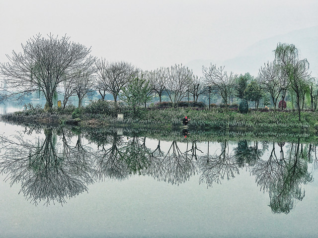 water-tree-reflection-landscape-lake 图片素材