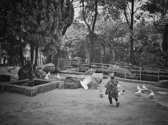 people-group-together-group-many-two 图片素材