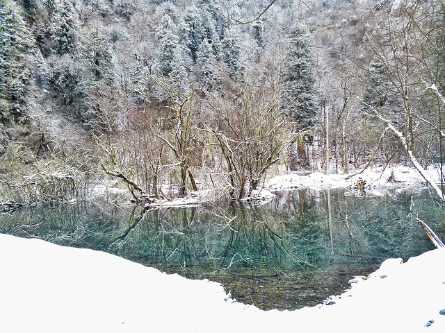 winter-snow-cold-frost-landscape picture material